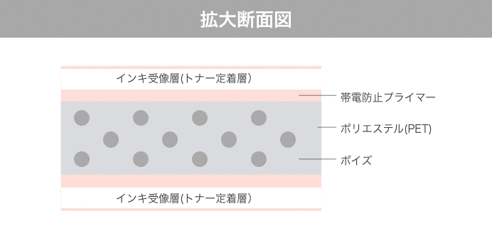 シナップスの構造