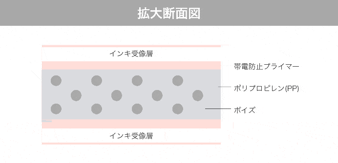 シナップスの構造