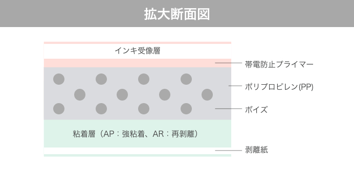 シナップスの構造